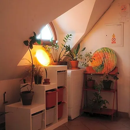 John Galt Hostel Brno